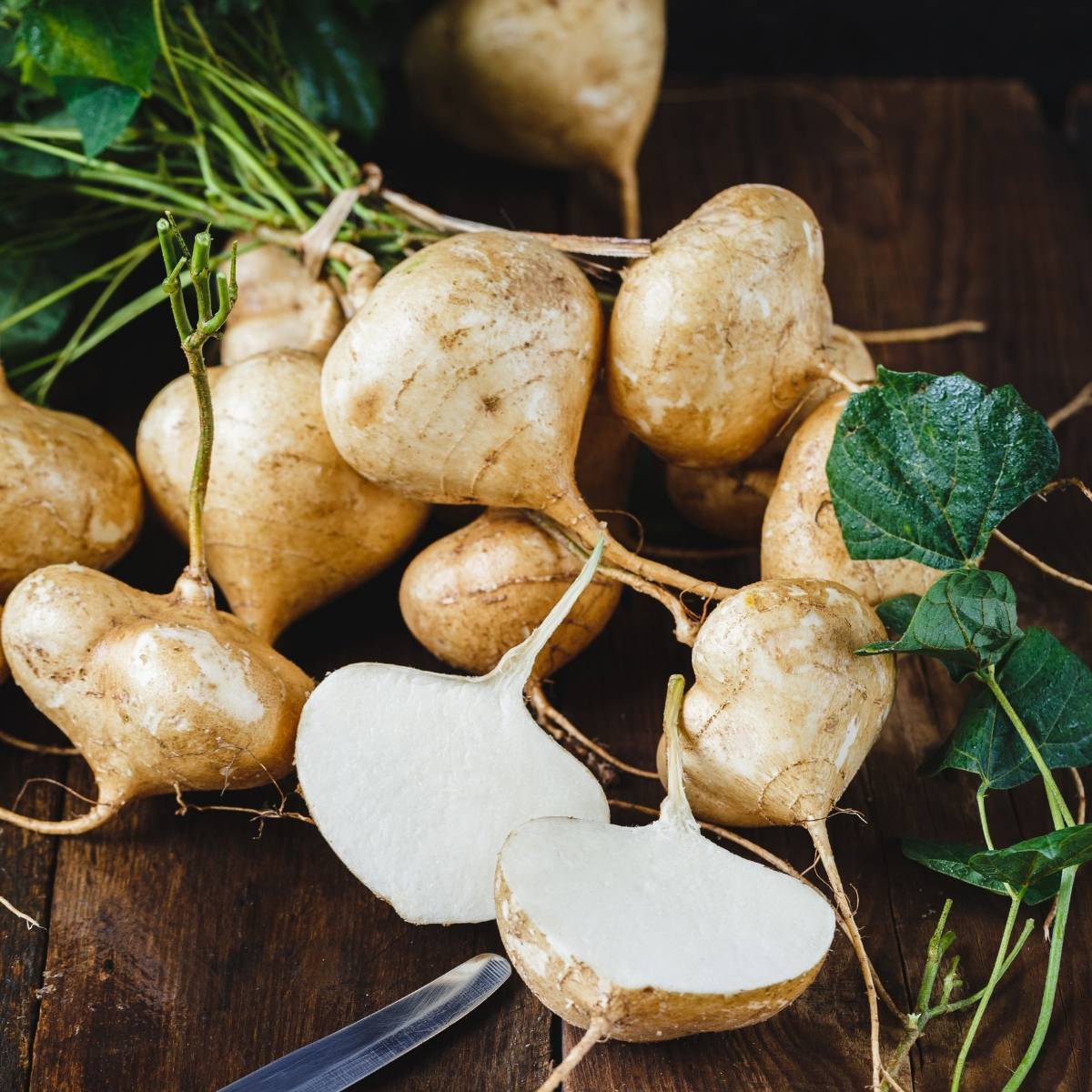 Yam Bean Seeds