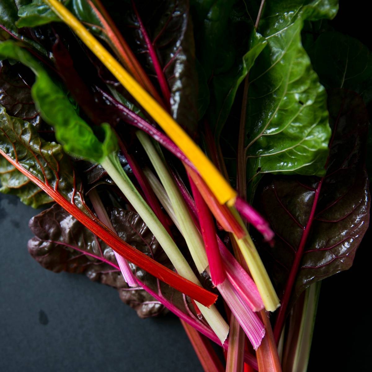 Bright Lights Mix Silverbeet Seeds