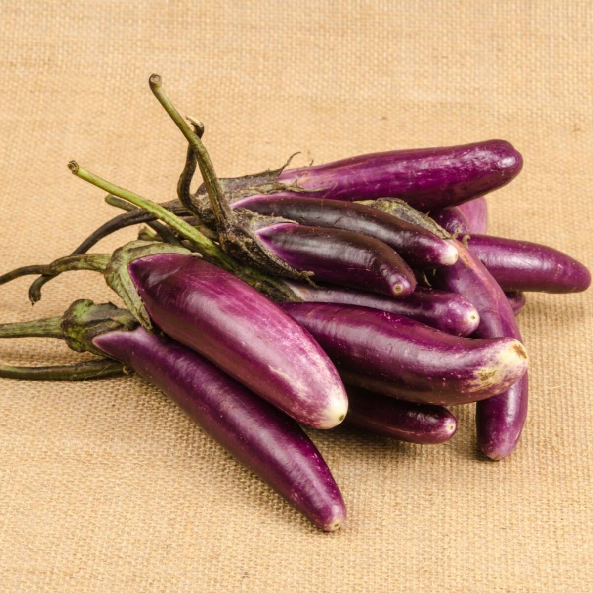 Little Fingers Eggplant Seeds