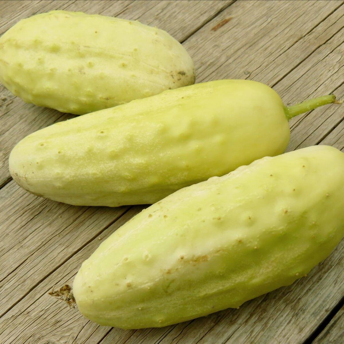 Mini White Cucumber Seeds