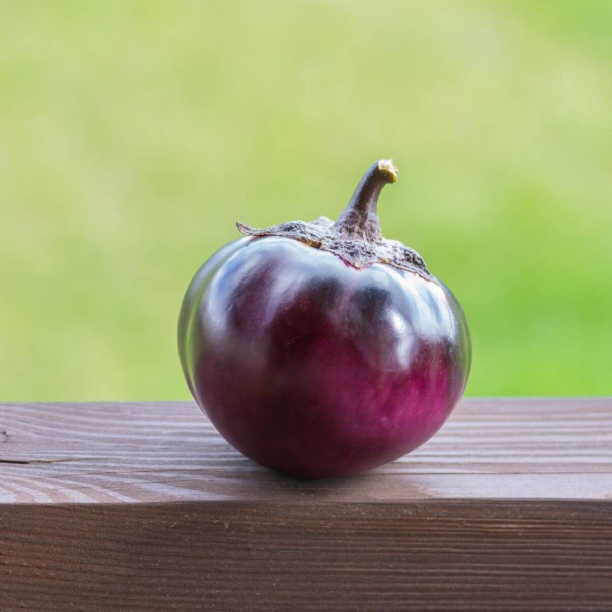 Thai Purple Ball Eggplant Seeds