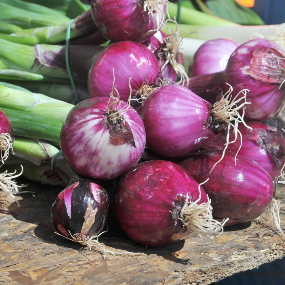 Purplette Onion Seeds