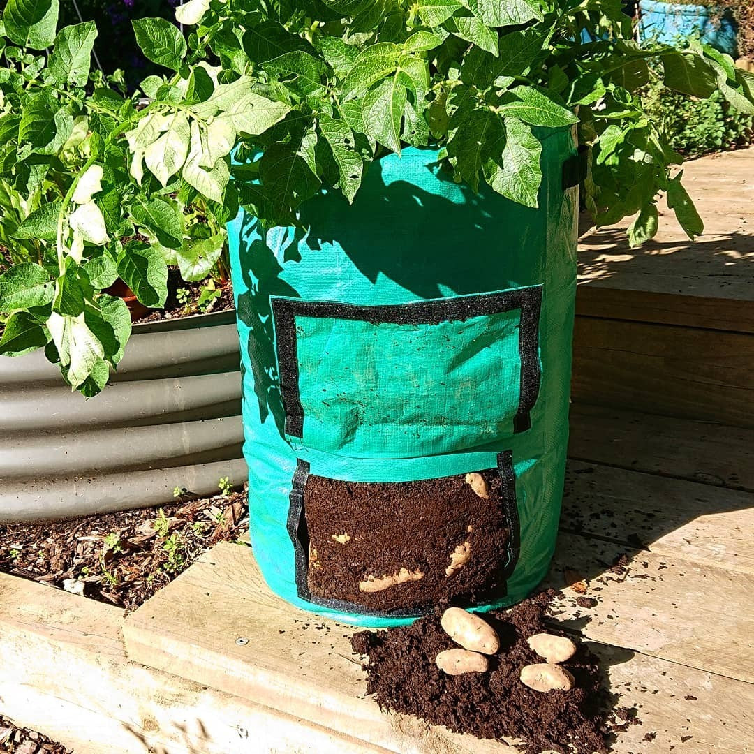 Potato Grow Bag