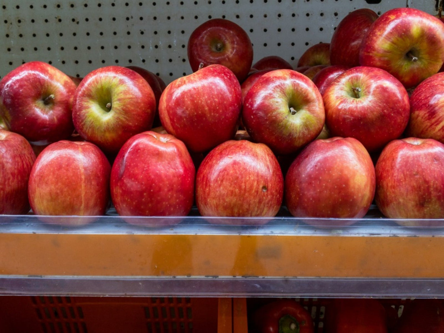 Enterprise Apple (Malus domestica)