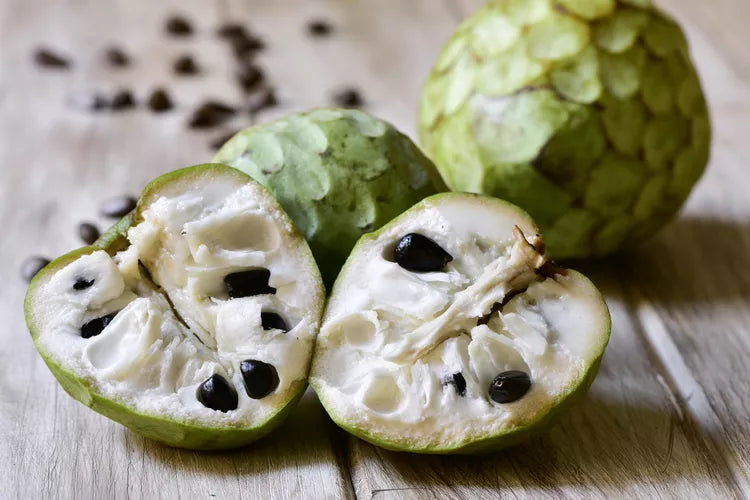 Cherimoya (Annona cherimola)