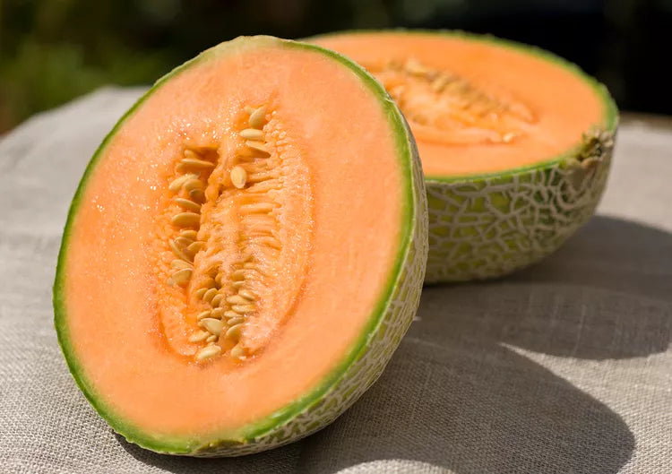 Cantaloupe Melon Seeds (Cucumis melo)