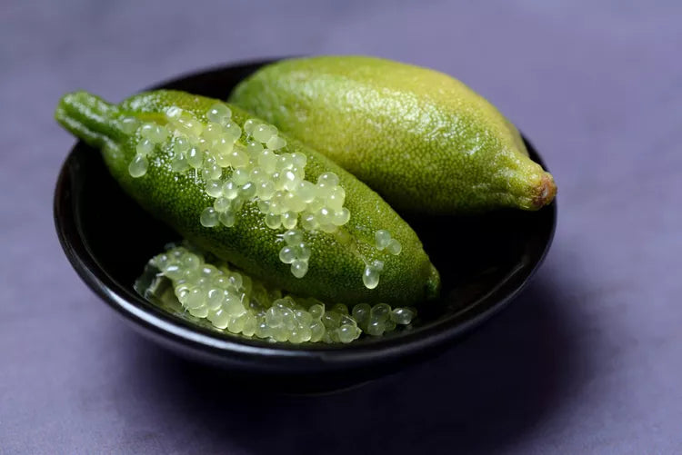 Caviar Lime (Citrus australasica)