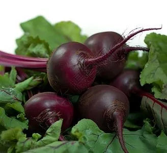 Globe Shape Beetroot For Sowing heirloom non-gmo organic garden seeds