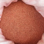 Good Cold Resistance Disease Resistance Carrot heirloom non-gmo organic garden seeds