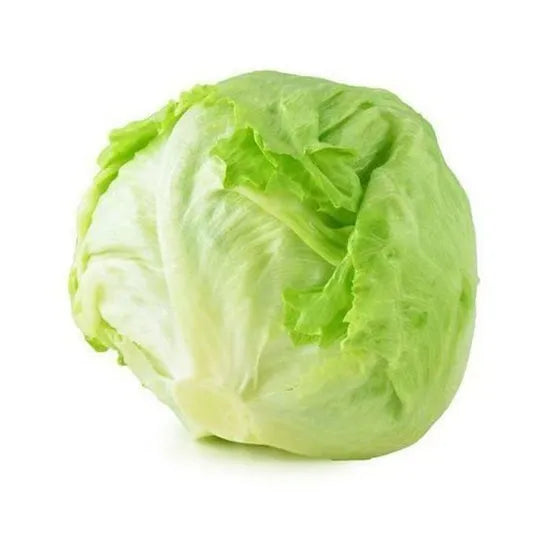 Good Disease Resistance Premium Quality Lettuce heirloom non-gmo organic garden seeds