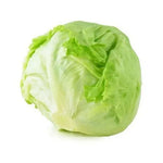 Good Disease Resistance Premium Quality Lettuce heirloom non-gmo organic garden seeds