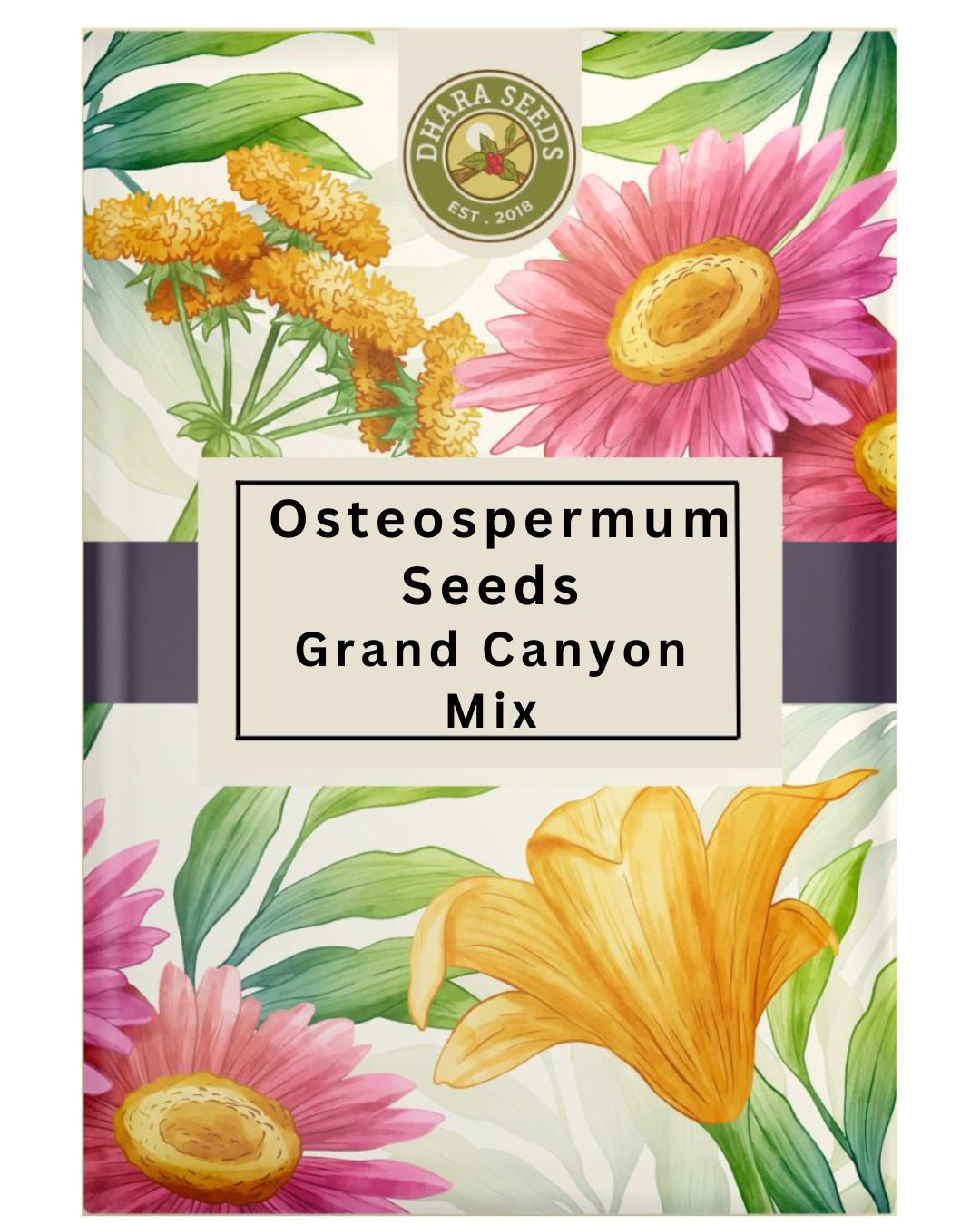 Grand Canyon Mix Osteospermum Seeds