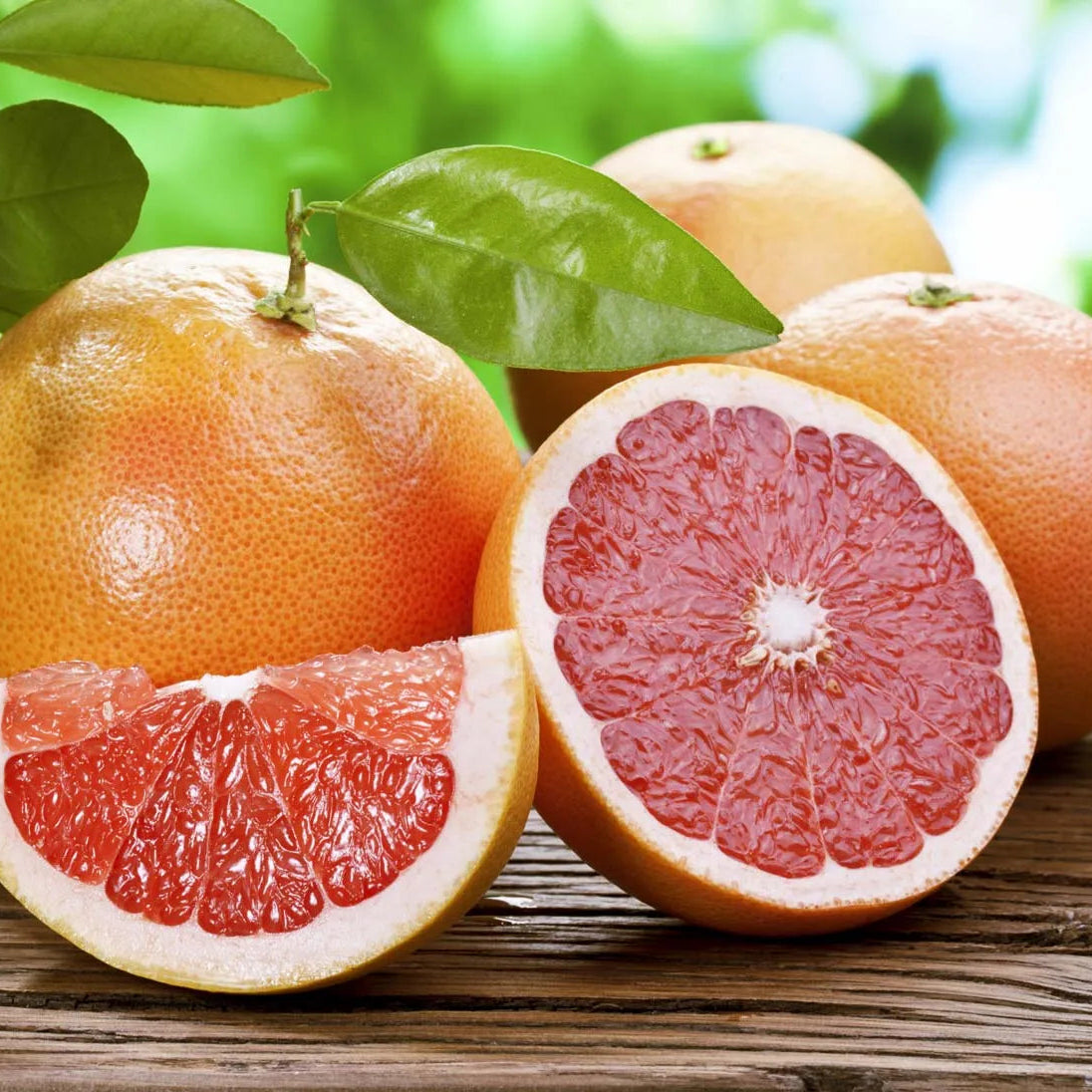 Grapefruit seeds packet Non-GMO for planting in a tropical garden