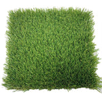 Festuca Arundinacea Grass Seeds_packet_durable lawn