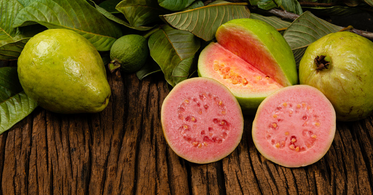 Guava Seeds