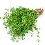 Healthy Thyme seedling growing in a tray. How to grow Thyme from seeds.