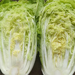 High Quality Green Chinese Cabbage For Global Distribution heirloom non-gmo organic garden seeds