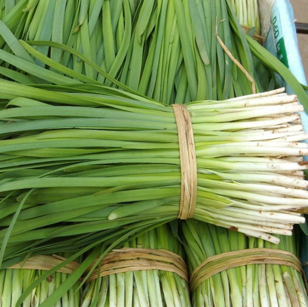 Garlic Leek China Green Onion Vegetable Seeds