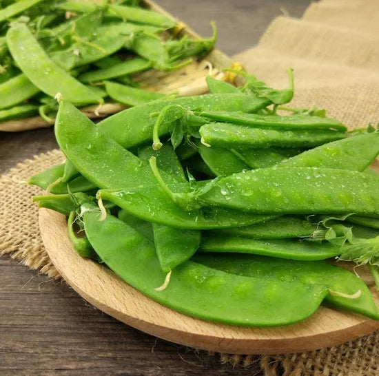 High Quality Snow Pea For Sowing – Heirloom, Non-GMO, High Germination Organic Garden Seeds