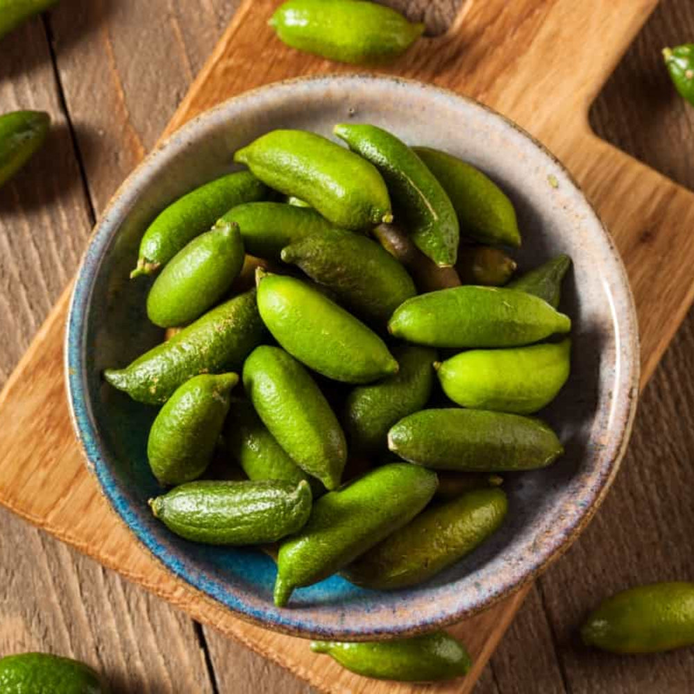 Finger Lime Fruit Seeds for Planting - Green, Tangy Variety for Unique Citrus Flavors
