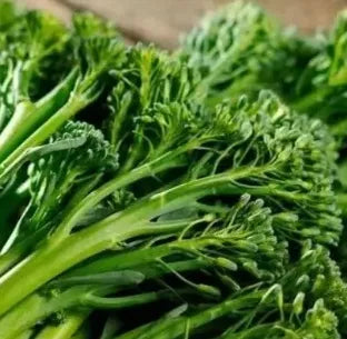 Hybrid Good Uprightness Good Disease Resistance Broccolini – Heirloom, Non-GMO, High Germination Organic Garden Seeds