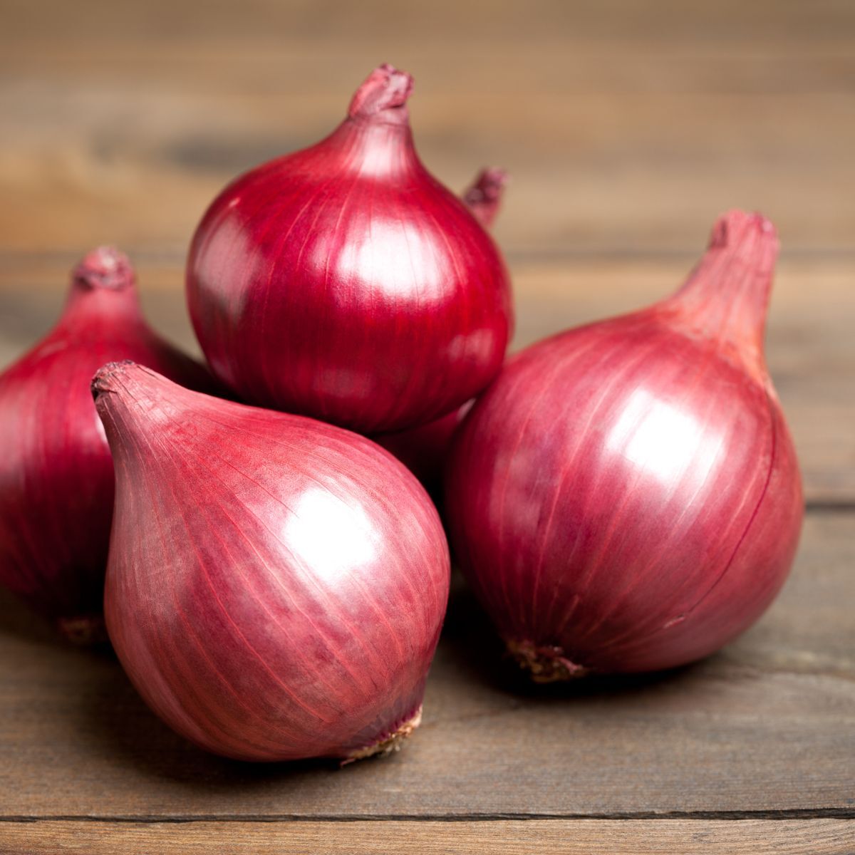 Amposta Purple Onion Seeds