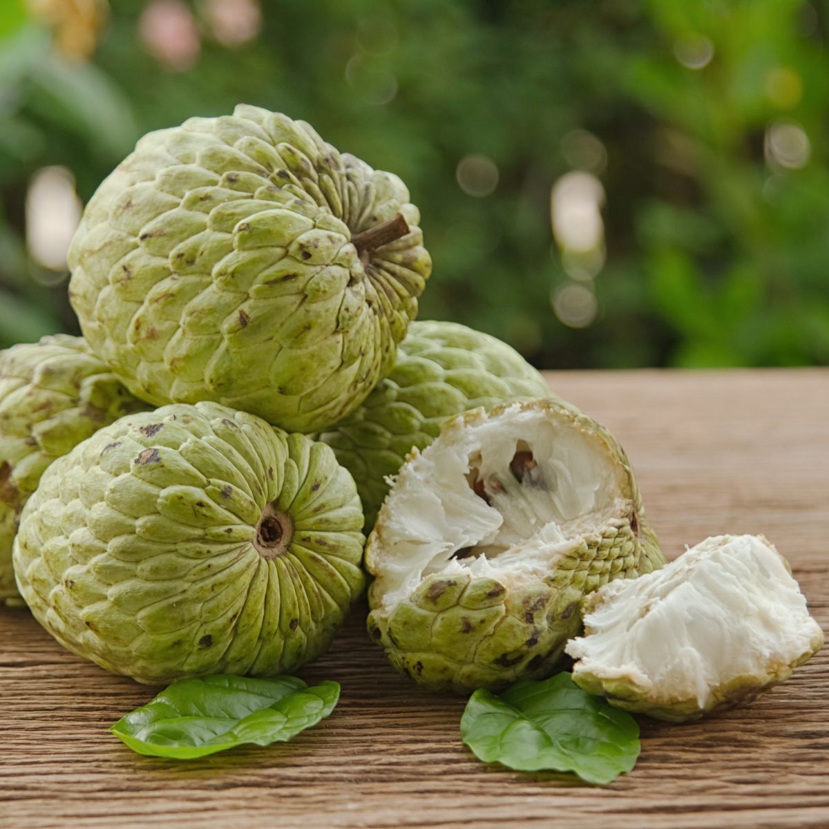 Sugar Apple Seeds