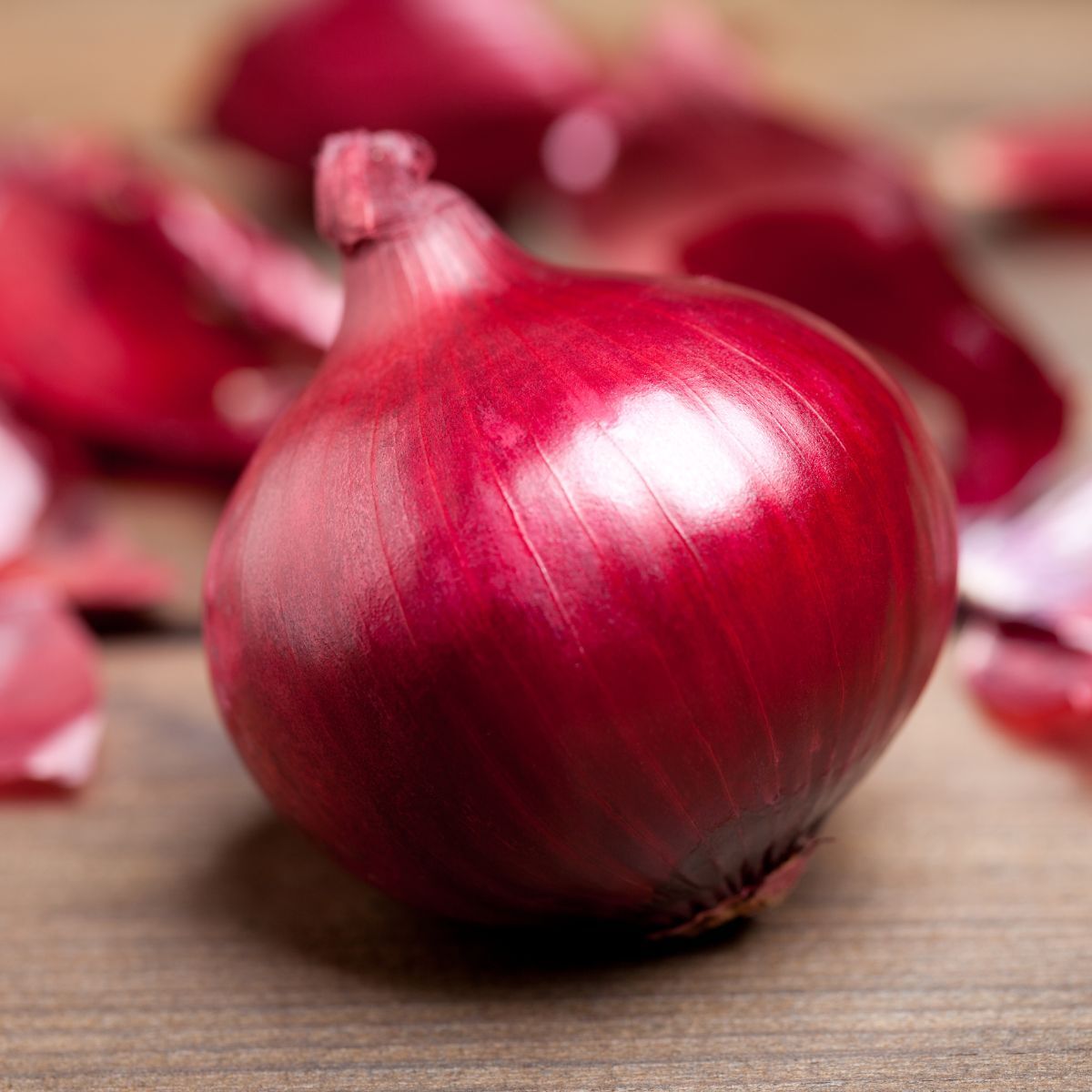 Red Marksman Onion Seeds