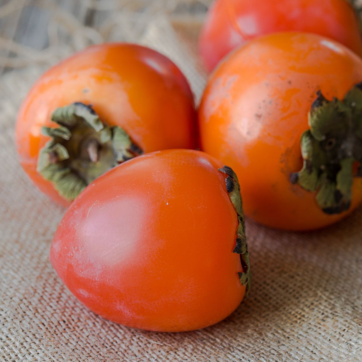 Kaki Persimmon Seeds