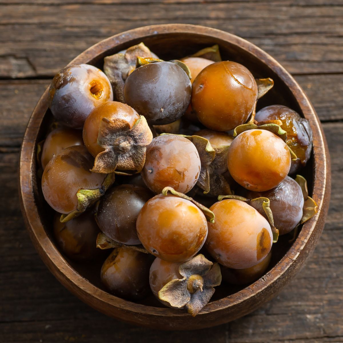 Date Plum Seeds