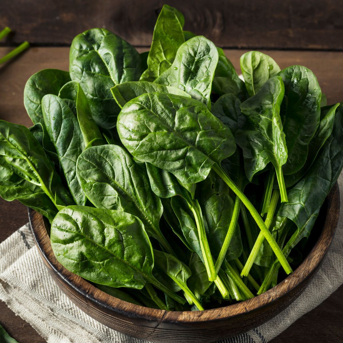 Winter Giant Spinach Seeds