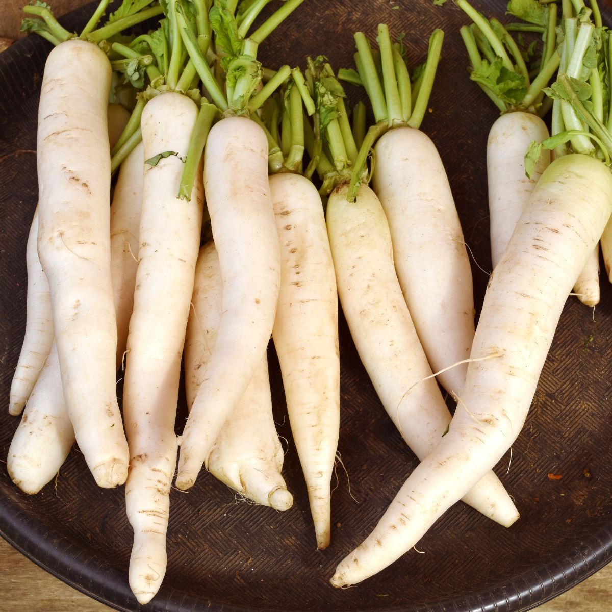 Long White Chinese Radish Seeds