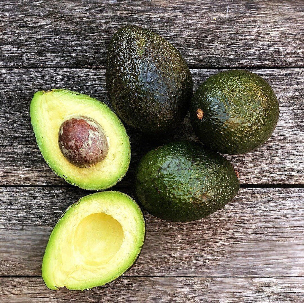 Pinkerton Avocado or Butter Fruit Seeds for Planting – Unique and Rare, Healthy Fats, Heirloom Seeds
