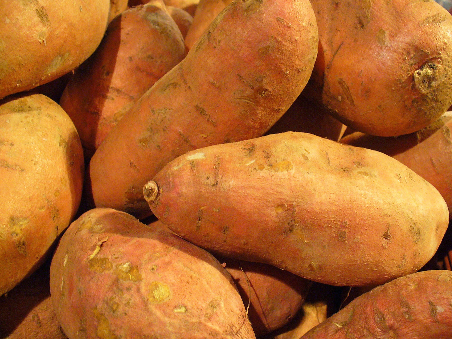 Sweet Potato Seeds