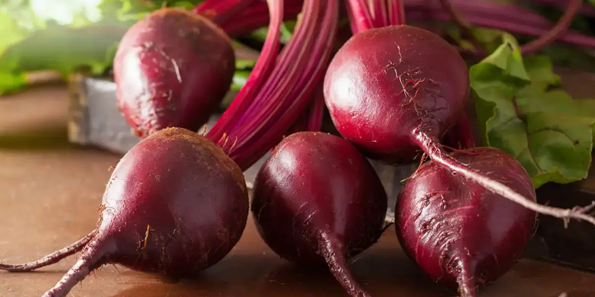 The Old Farmer's Almanac Heirloom Beet Seeds