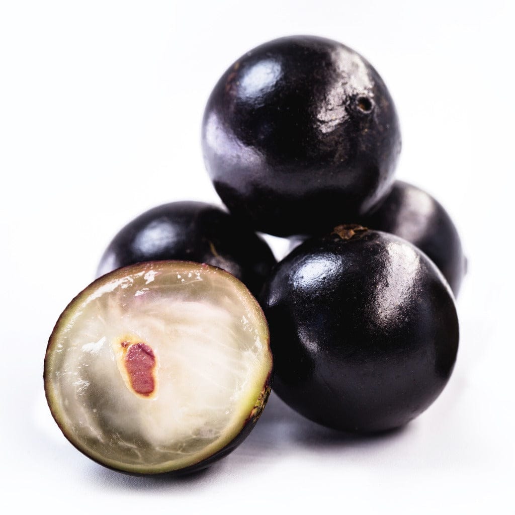 Jaboticaba (Plinia cauliflora)