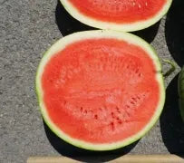 Jubilee Round Shape, Wide Adaptability, High Quality Seedless Watermelon (Semillas De Sandia) heirloom non-gmo organic garden seeds