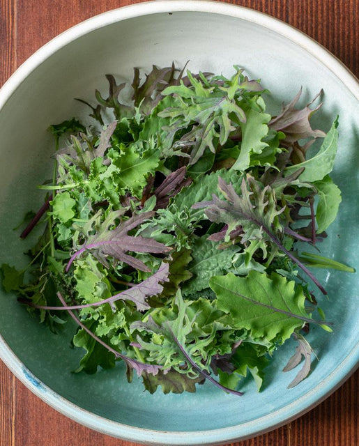 Kale Storm Pelleted