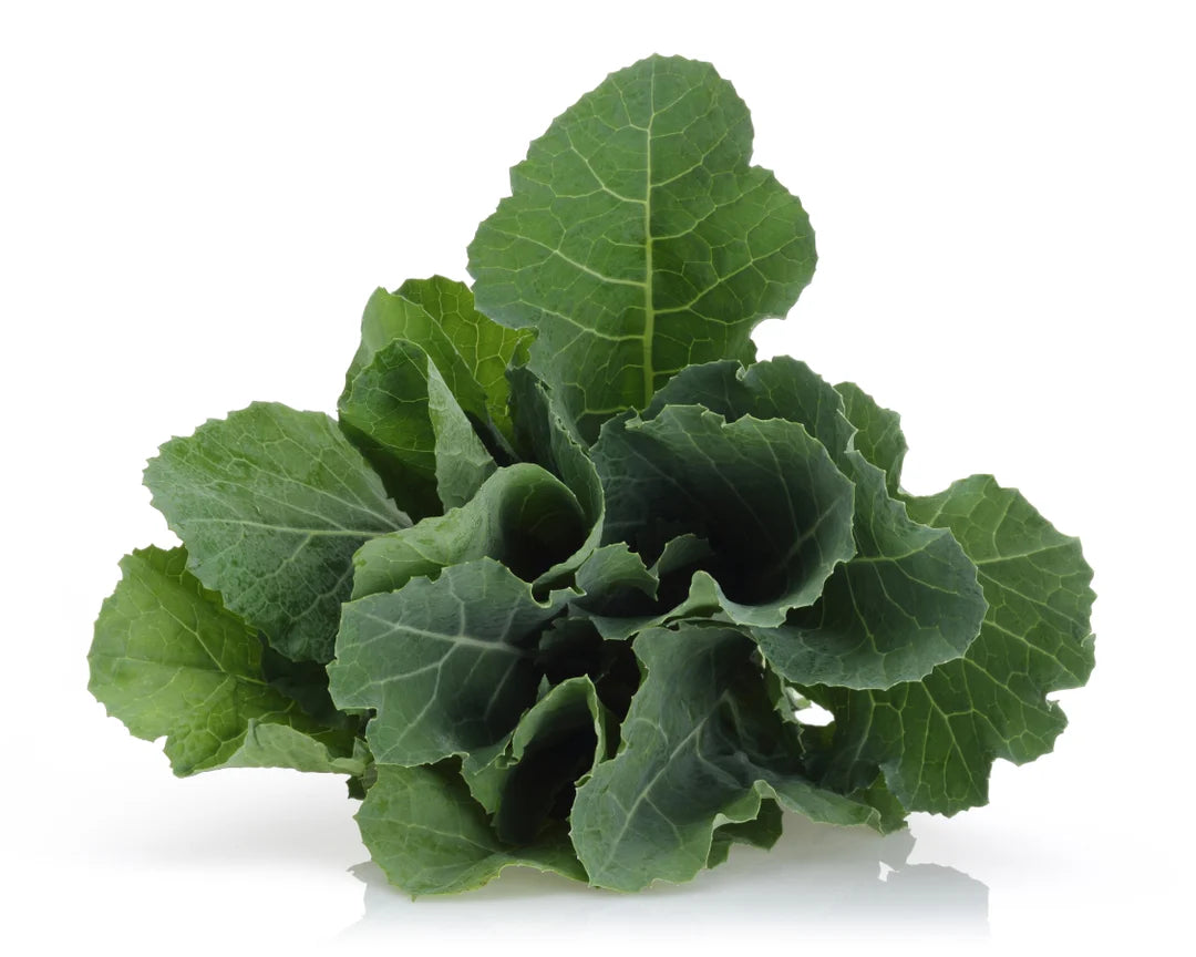 Premium Hybrid Vigorous Growth Kale For Sowing – Heirloom, Non-GMO, High Germination Organic Garden Seeds