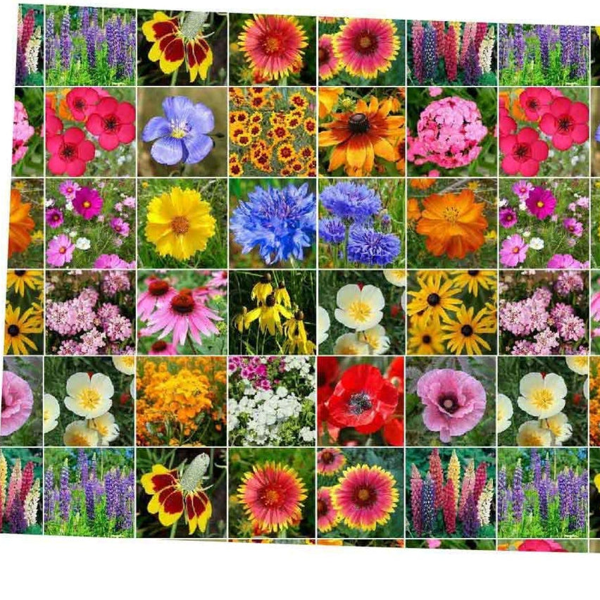 flowers high quality flower seeds for growing vibrant and colorful blooms in home gardens and landscapes organic flowers premium organic flower seeds for sustainable gardening and beautiful blossoms suitable for all climates