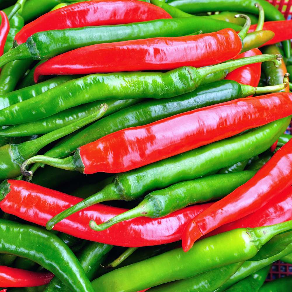 Chilli Vegetable Seeds for Planting
