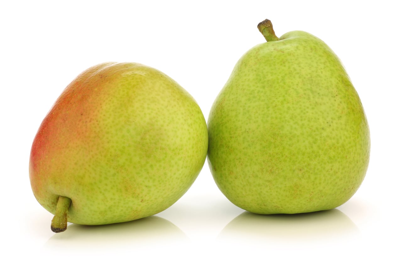 Green Anjou Pear (Pyrus communis)