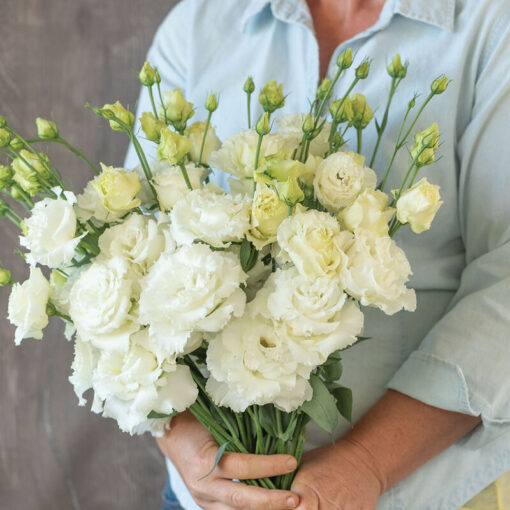 Lisianthus Bon Voyage White Pelleted Imported heirloom non-gmo organic garden seeds