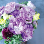 Lisianthus Voyage Blue Flash Hybrid Pelleted Imported heirloom non-gmo organic garden seeds