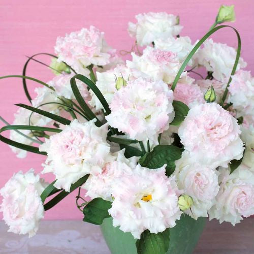Lisianthus Voyage First Love Hybrid Pelleted Imported heirloom non-gmo organic garden seeds