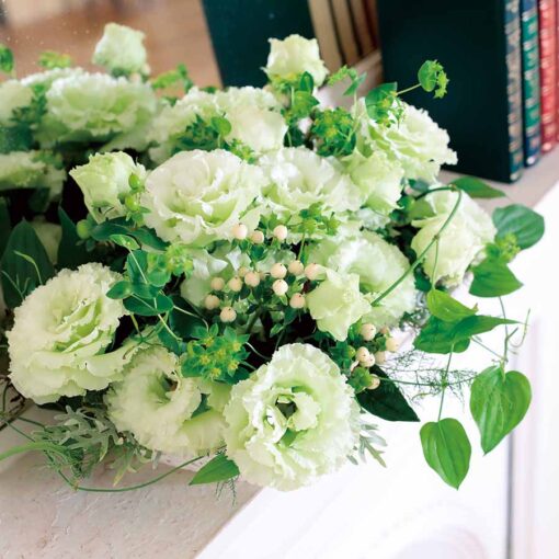 Lisianthus Mariachi Lime Green F1 Imported heirloom non-gmo organic garden seeds