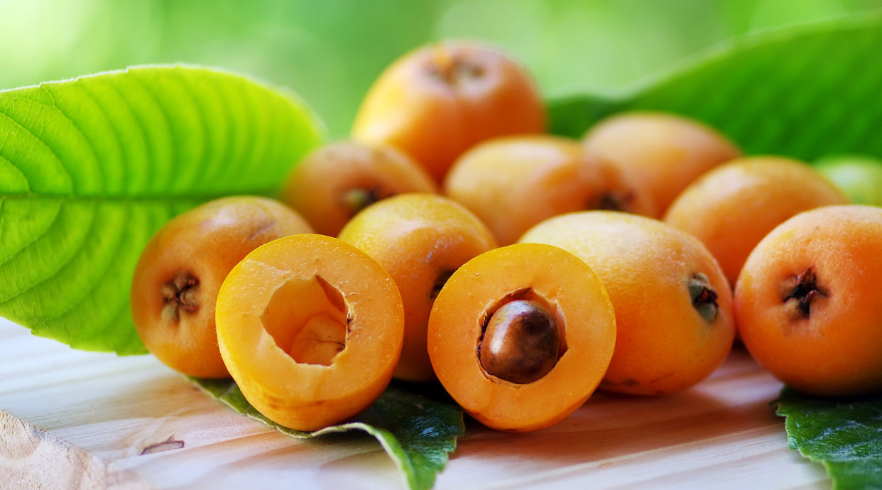 Loquat Fruit Tree Seeds