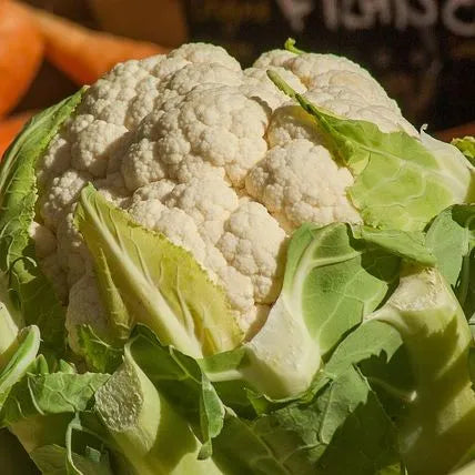 Mid Early Heat And Moisture Tolerance Disease Resistance Cauliflower heirloom non-gmo organic garden seeds