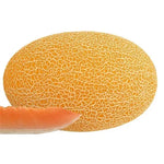 Mid Early Maturity, Crispy And Refreshing Texture, Disease Resistant Melon heirloom non-gmo organic garden seeds