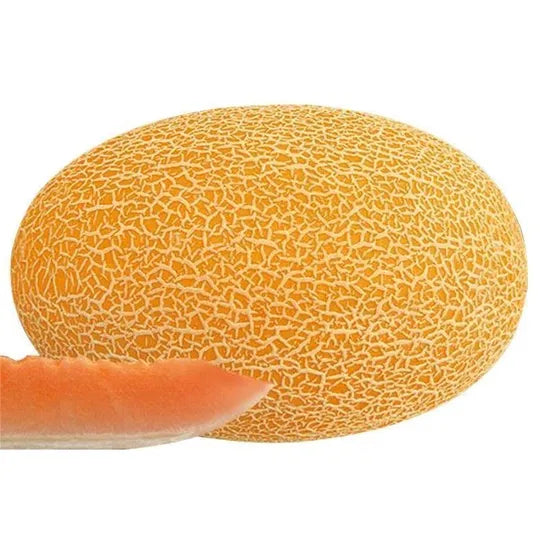 Mid Early Maturity, Crispy And Refreshing Texture, Disease Resistant Melon heirloom non-gmo organic garden seeds